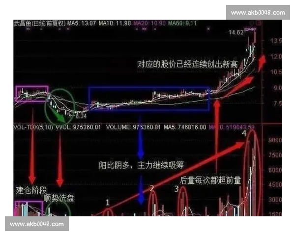技术犯规背后的规则博弈与赛场心理较量解析规则演变与裁判尺度深度观察